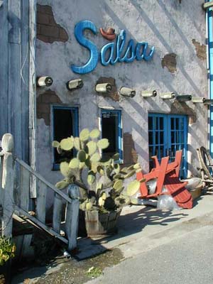 a favorite funky shop and cactus in Larkspur - alas it was closed